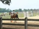 catie @au horse camp