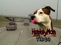RagBag Trucker 2