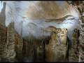 videos de Excursión a grutas de García