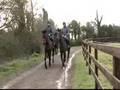 Colm Murphy Video Feature