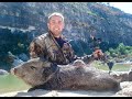 Javelina Hunt 2 Kills