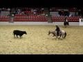 Houston Rodeo Professional Cutting Horse Competition