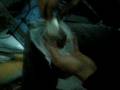 videos de HACHICH
