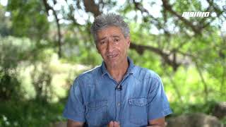 ايابـاً : قرية الشجرة المهجرة .. مع سعيد سلامة و خالد ذيابات