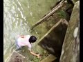 ALGAEMO (abi nakog LaLom)