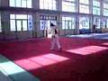 馬氏 通備劈掛拳 Erlu Pigua - Qinglong Quan 二路 劈掛拳 - 青龍拳