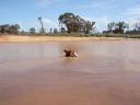 Horse ridin on da ranch in Aus! Horse ridin on da ranch in Aus!
