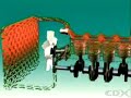 Engine Water Pump
