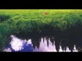 akino arai _ Eden新居昭乃 　パンジー　　LYRICS: PANSYSono itami ni mirai waNaku toki de sae jiyuu wa naiJunsui sa dake ga anata wo sasaeteiruMainichi wa Aa, dou utsuru noTaoreru you ni nemuruJuusei no kokkyou no kawa made hashittaAni wa otouto ni saki ni ike to itte wakaretaSore kiri aenai mamaAme wo shinogu fuku woAnata ni wa tsumi mo nani mo naiChiisana PURANTAA no hana no you na kokoro no hoka niSono kizu darake no te ni PANJII watasetaraMaboroshi wa anata wo sukoshi na gusameruToumei na yane no shitaHikari no shizuku wo toushiteruDare ka  dare ka...Juusei no kokkyou no kawa made hashittaDare ga anata ni kodomo jidai wo orikaeshite kureru noAni wa otouto ni saki ni ike to itte wakaretaShinjiru koto de asu mo ikiyou to suruSono itami mi ni mirai waSono hitomi ni mirai wa...