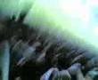 kartal gol gol gol kartal gol ve gol mukemmel video ' H T '