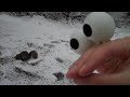 VID00022.MP4