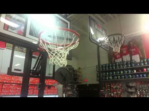 Basketballständer Vergleich