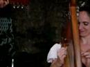 SCRF: Sweet Amaryllis (with Joe Matzzie): Nonesuch