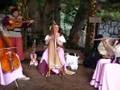 SCRF: Sweet Amaryllis (with Joe Matzzie): Nonesuch