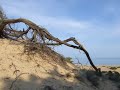 Le dune di Piscinas