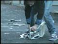 KNuser_0001.wmv