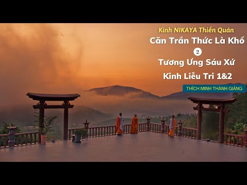 Kinh NIKAYA Thiền Quán - Căn Trần Thức là Khổ 2 - Tương Ưng Sáu Xứ - Kinh Liễu Tri 1&2 