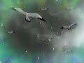 junjo romantica ova 11 part 2