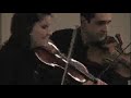 Chasing Charlotte- Fiddleback