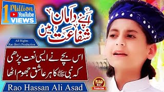 Rao Hassan Ali Asad - New Naat 2019 - Mere Sarkar 