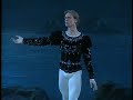 Swan Lake Pas D'Action   Yulia Makhalina