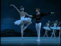 Swan Lake Pas D\