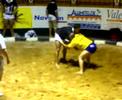 lucha canaria c l roque nublo