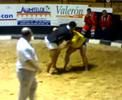 lucha canaria c l roque nublo
