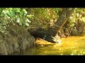 Drava-Tears in Heaven