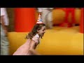 Goodyear Bouncy Castle  Ad