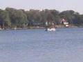 middfoil-a Natural Method to Control Eurasian Watermilfoil
