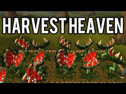 runescape - Harvest Heaven brought in 10 new seeds and plants to the game. They are all cross-skilled plants which gives you two kinds of xp and special bonuses or items...