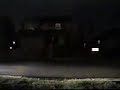 christmas lights