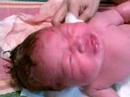 avryl jamea 2