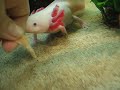 kuscheln und fressen kuscheln und fressen