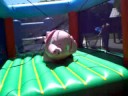 pam sur le cochon