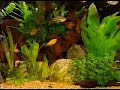 Video Enydreio - Entypwsiase thn palioparea