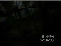 Hunting the Wild Wallabe