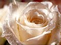 Myra Linklater R.I.P