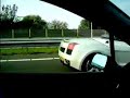 lamborghini gallardo on dutch highway
