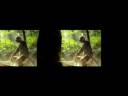 Video screenshot