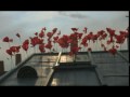 Nuevo spot de Kenzo