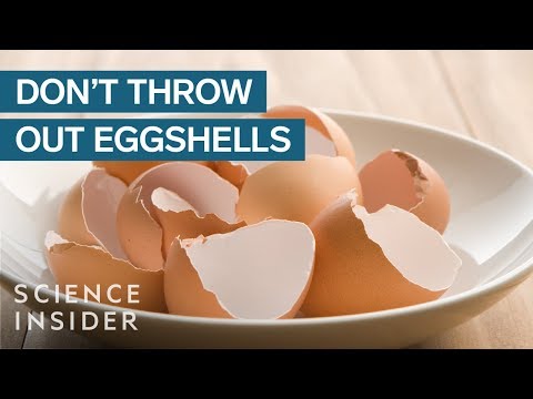 Why You Should Stop Throwing Out Your Eggshells