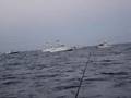 Charelston OTC Shot Gun start