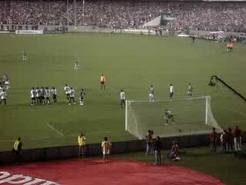 gol na final libertadores - video com o gol de thiago neves, terceiro do FLU na final da libertadores 2008, direto das arquibancadas amarelas, gol e reacao da galera...