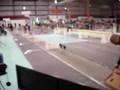 Jedi's Dog Sports Flyball Team