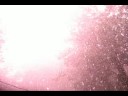 Thumbnail #2