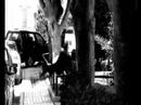 visualzr011