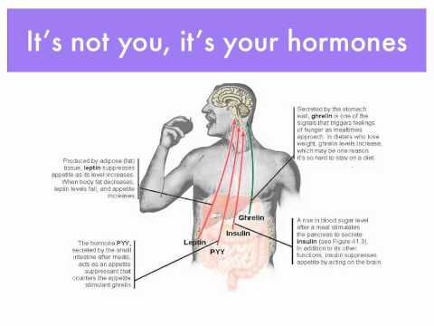 how to eliminate ghrelin
