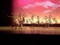 Idaw Preview (PCN 2008)
